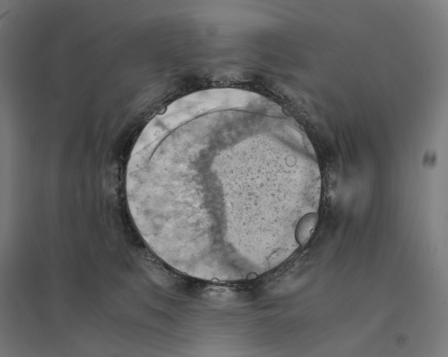 X0000094450519200712061203