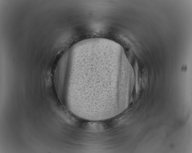 X0000094450520200712061203