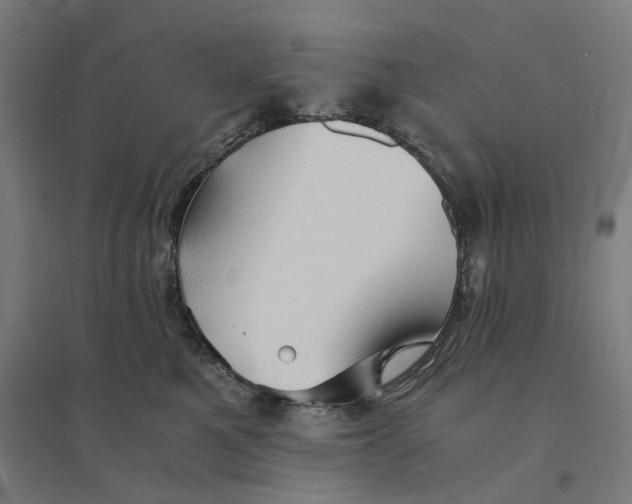 X0000094450521200712061203