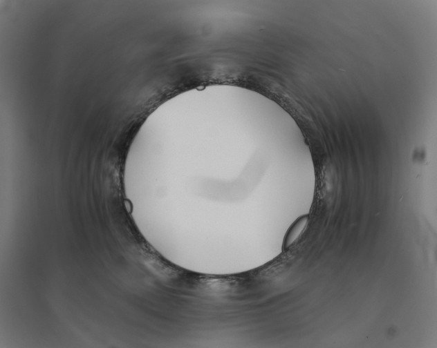 X0000094450522200712061203