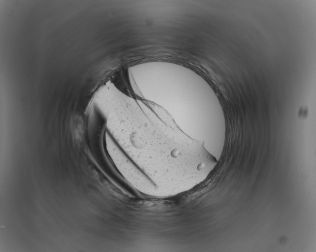 X0000094450524200712061203