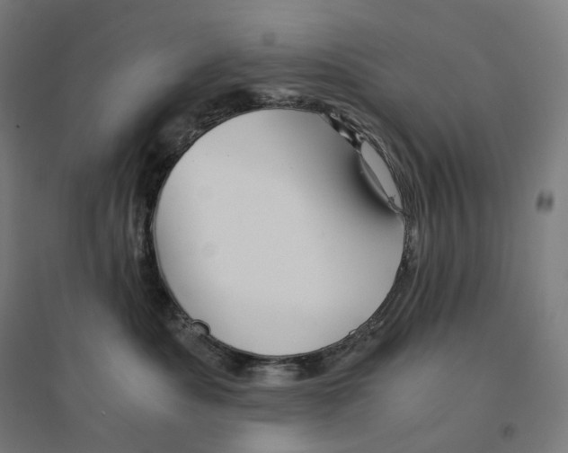 X0000094450525200712061203