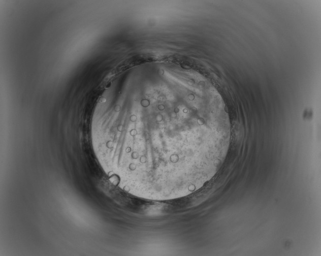 X0000094450527200712061203