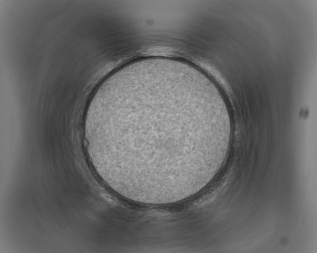 X0000094450529200712061202