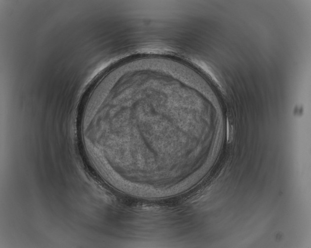 X0000094450531200712061202