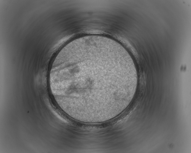 X0000094450533200712061202