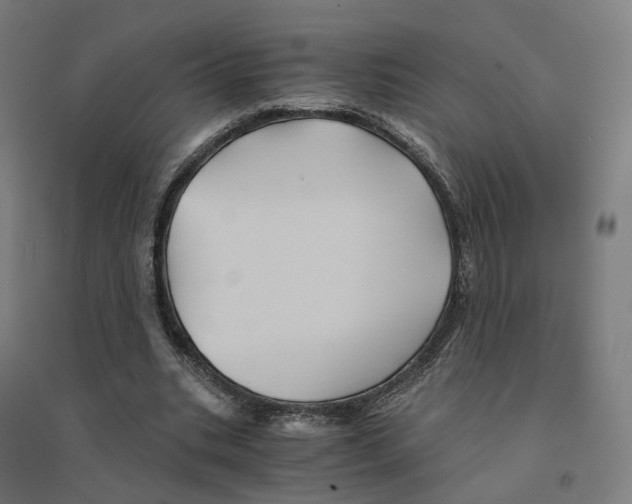 X0000094450535200712061202