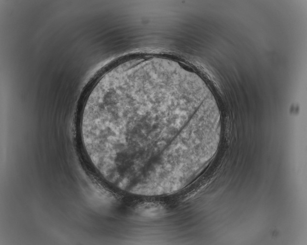 X0000094450536200712061202