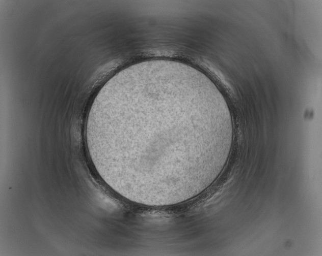 X0000094450537200712061202