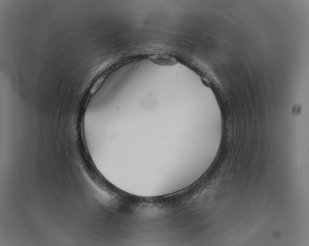 X0000094450538200712061202