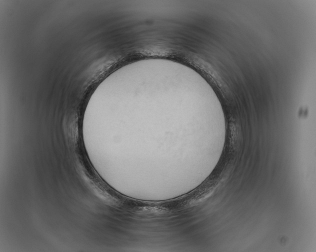 X0000094450541200712061202