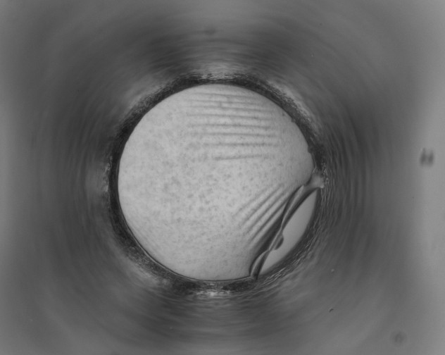 X0000094450543200712061202