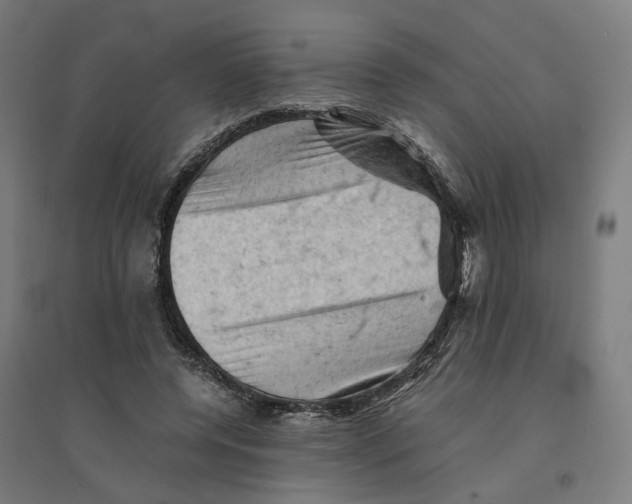 X0000094450544200712061202