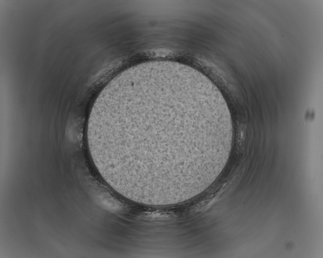 X0000094450545200712061202