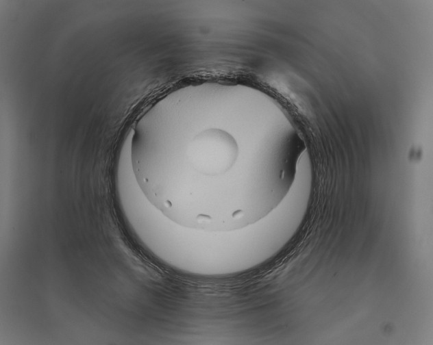 X0000094450546200712061202