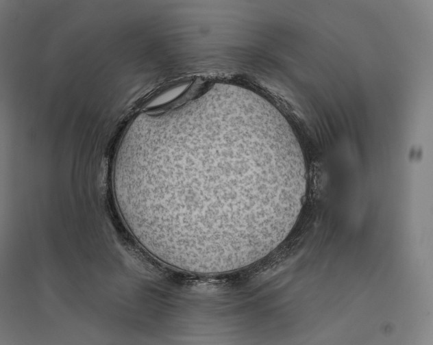 X0000094450550200712061202