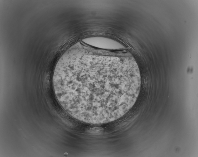 X0000094450551200712061202