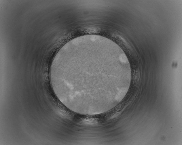 X0000094450553200712061203