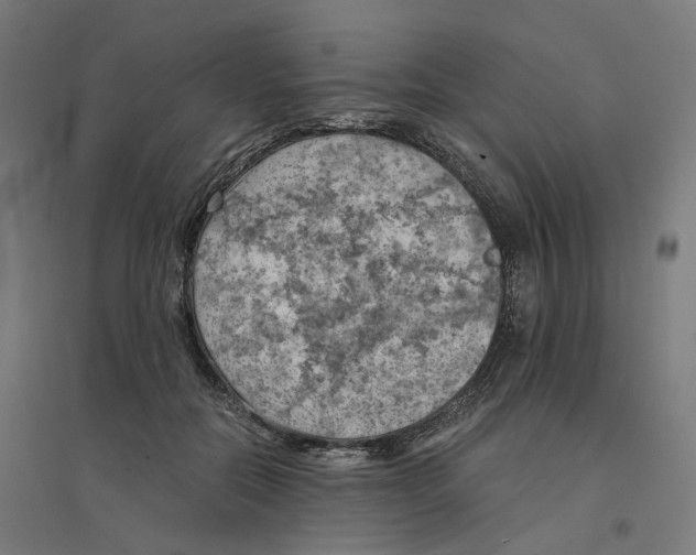 X0000094450554200712061203