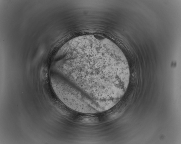 X0000094450555200712061203