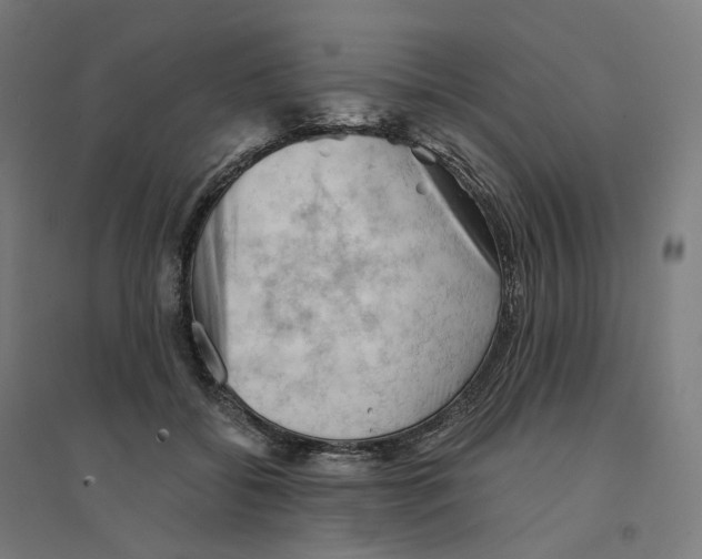 X0000094450556200712061203