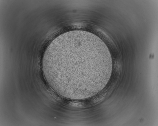 X0000094450557200712061203