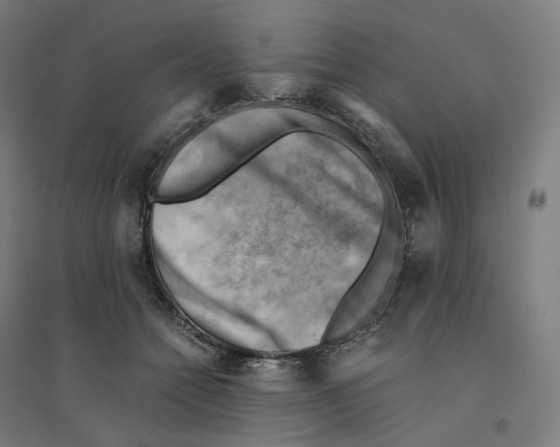 X0000094450558200712061203