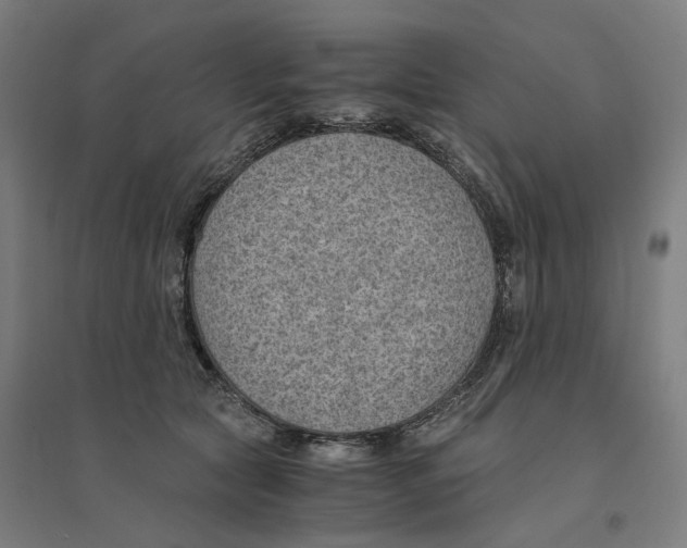 X0000094450561200712061203