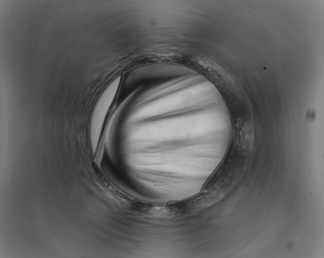 X0000094450562200712061203