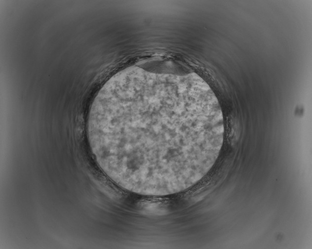 X0000094450563200712061203