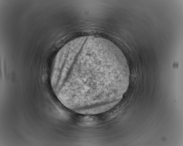 X0000094450566200712061203