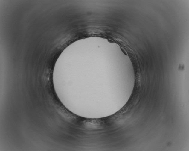 X0000094450567200712061203