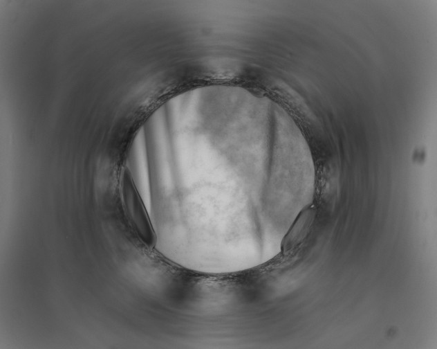 X0000094450568200712061203