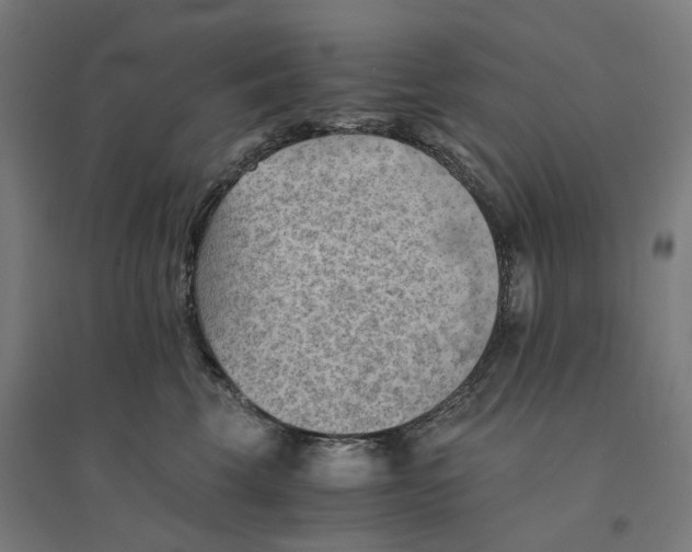 X0000094450569200712061203