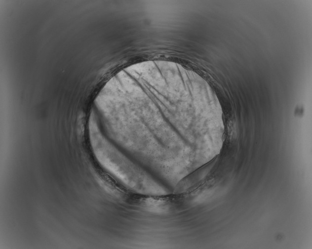 X0000094450570200712061203