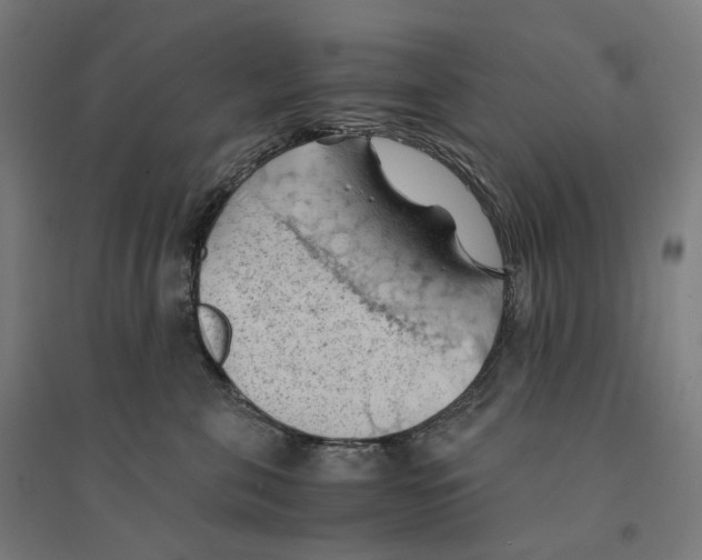 X0000094450571200712061203