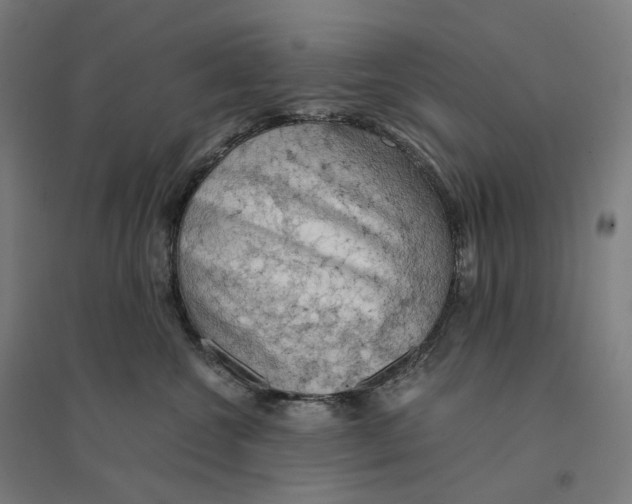 X0000094450572200712061203