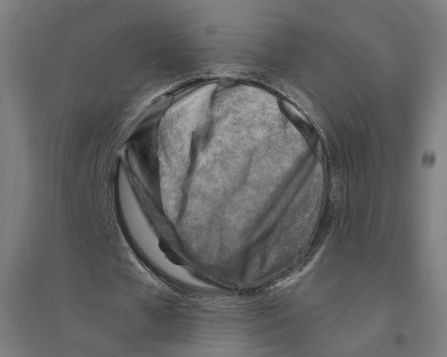 X0000094450577200712061202