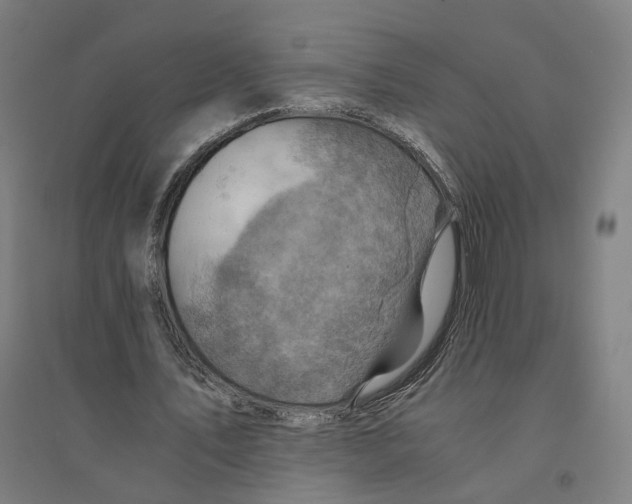 X0000094450579200712061202