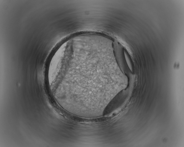 X0000094450580200712061202