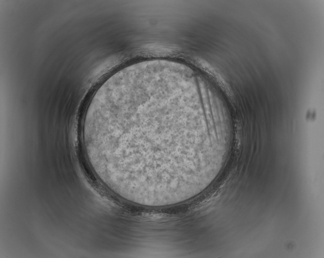 X0000094450582200712061202