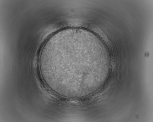 X0000094450583200712061202