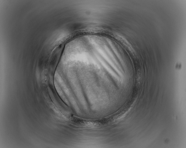 X0000094450585200712061202