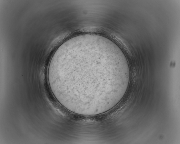 X0000094450586200712061202