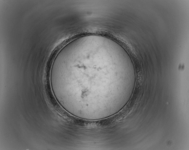 X0000094450587200712061202