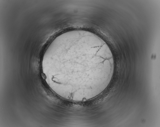 X0000094450592200712061202