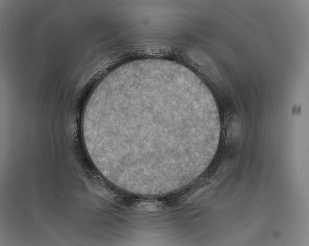 X0000094450595200712061202