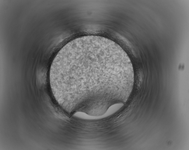 X0000094450596200712061202