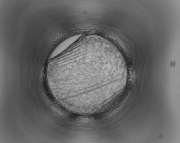 X0000094450597200712061202