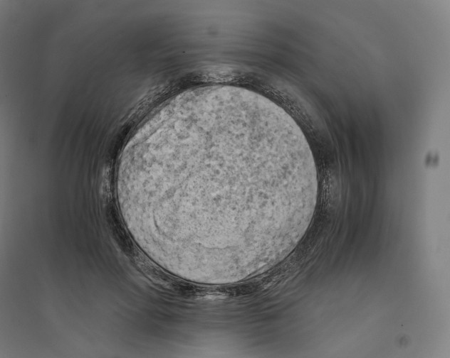 X0000094450598200712061202